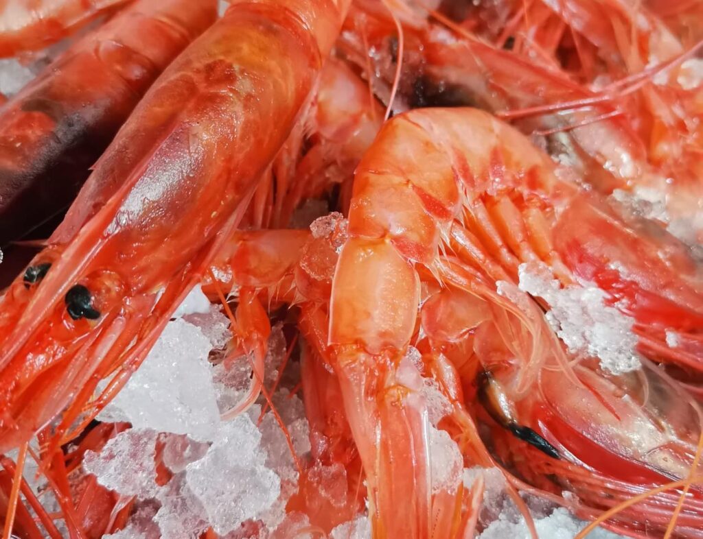 SnapInsta.to_652760541_18093521401858609_2777257273282872120_n